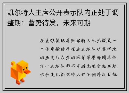 凯尔特人主席公开表示队内正处于调整期：蓄势待发，未来可期